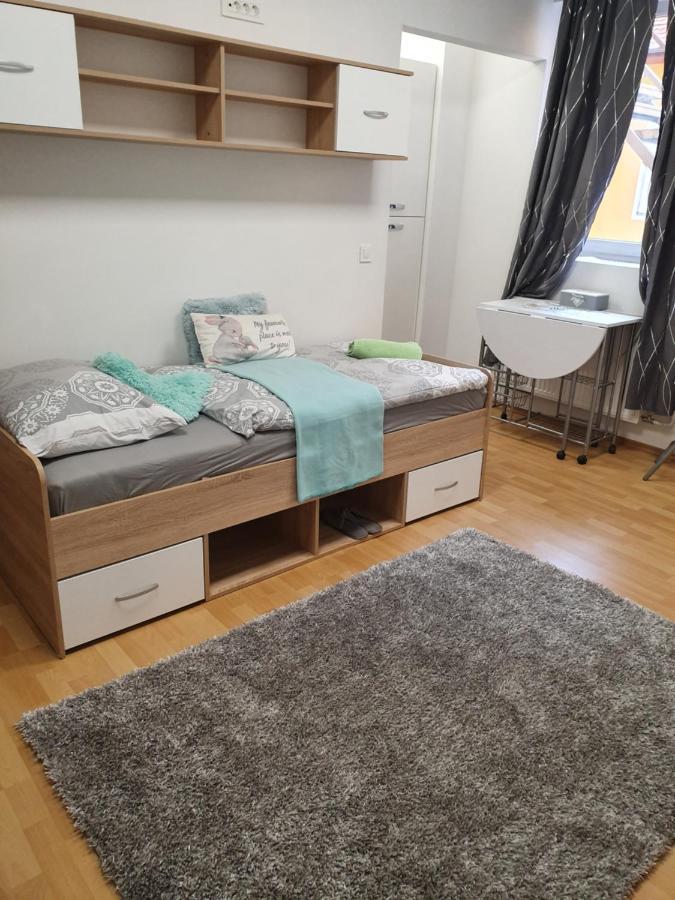 Maribor City Center Minidorm Apartment Eksteriør billede