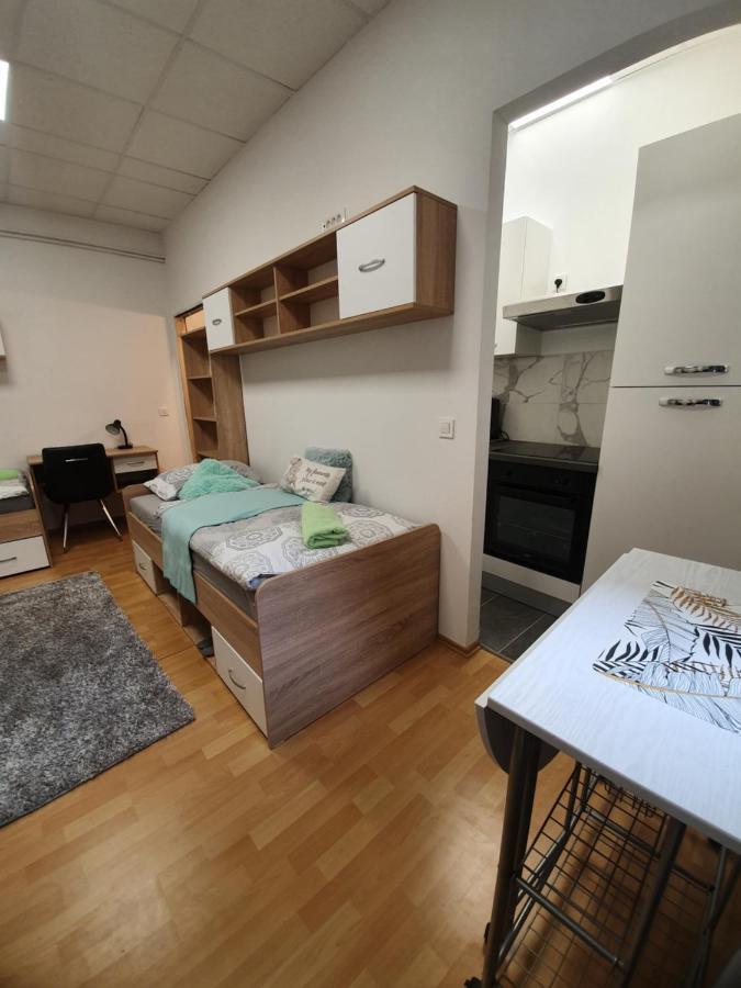 Maribor City Center Minidorm Apartment Eksteriør billede
